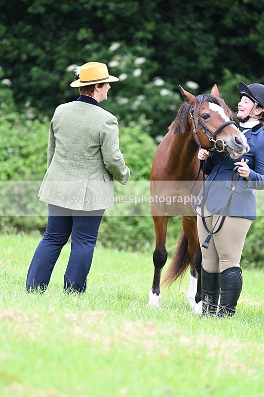 WJ7_4435 - Class 14B Prettiest Mare