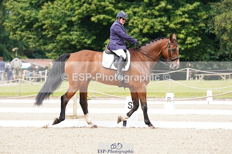 240721-103210-07636 - 193-Sally_Burchell-Tobiastar