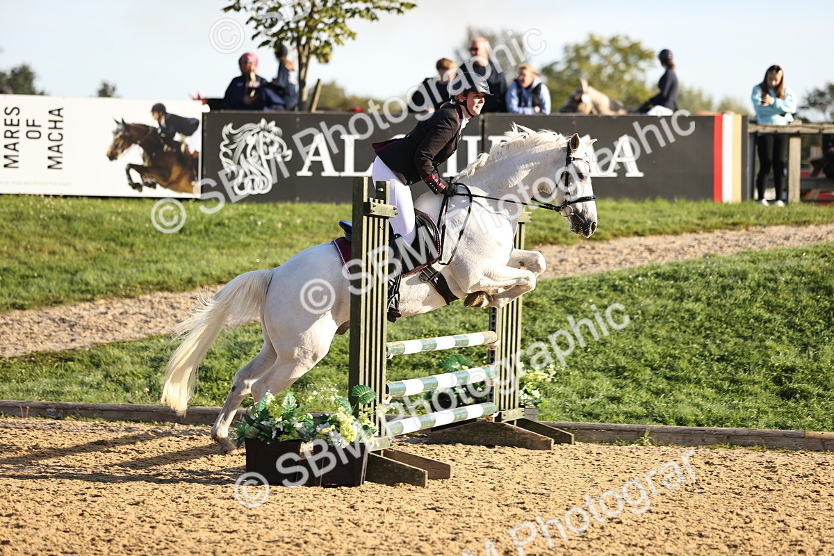 SBM_33196 - J38 - Senior 80cm Championship