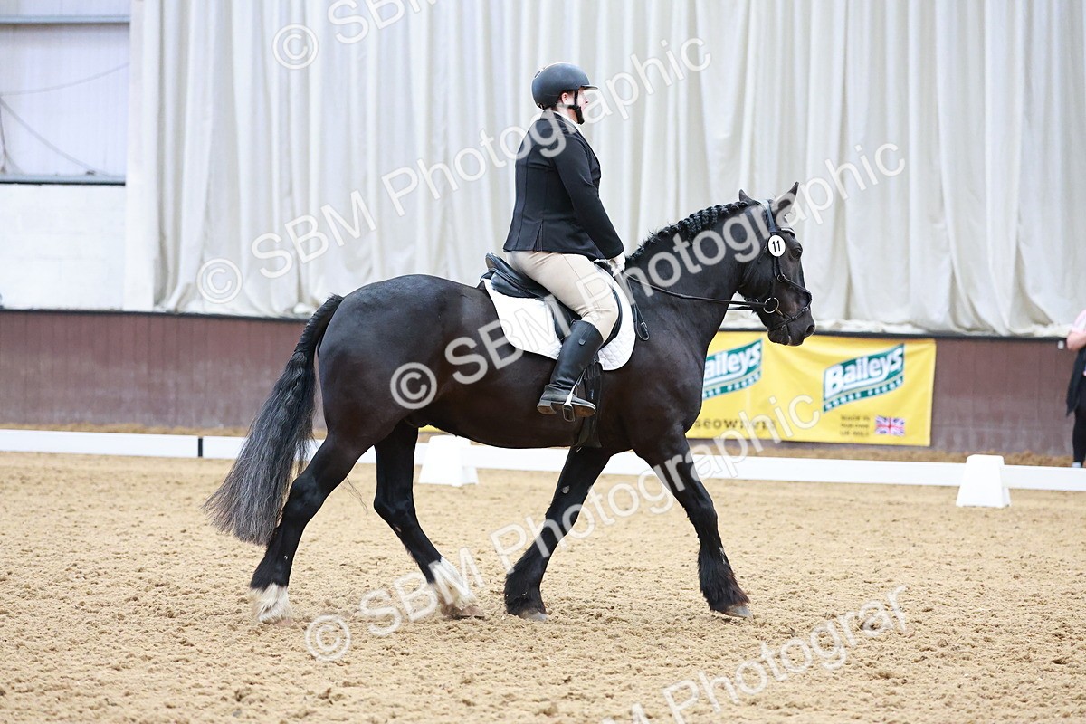 SBM_006726 - Class 3 - Prelim 2