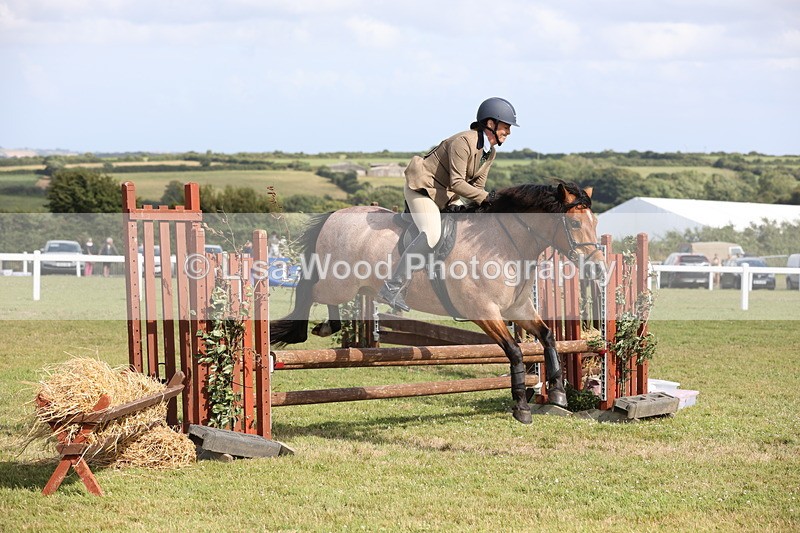 JPP_2661 - Class 20: Working Hunter 70cm