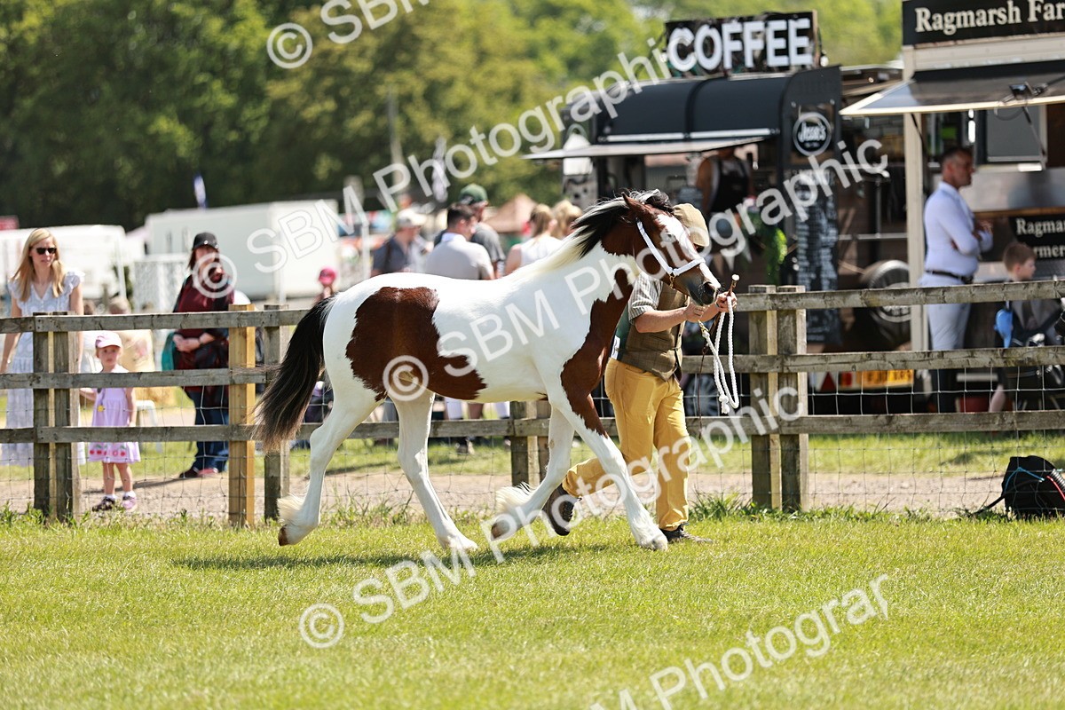 SBM_05493 - Class 41-45 - Riding Pony-Hunter Pony Breeding