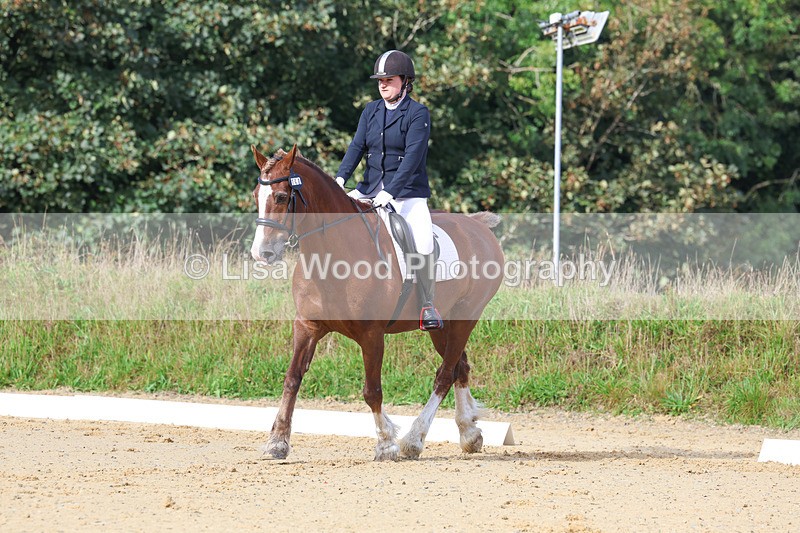 3E7A2211 - Class 1: Intro 4 2024 section A