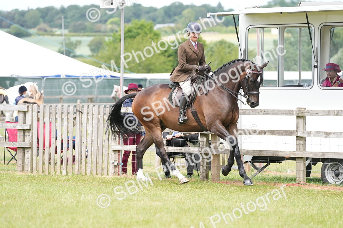 SBM_16239 - Class 105-106 - RIHS Riding Horses