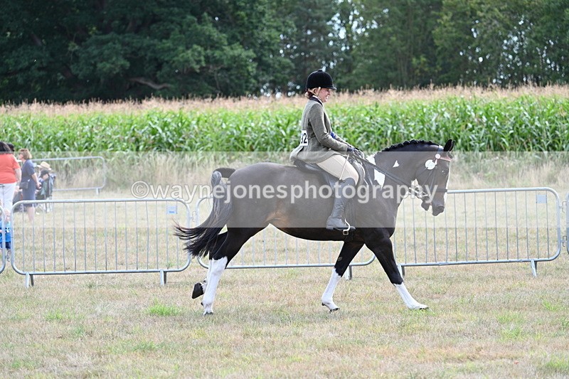 WJ7_6439 - Class 13 Ridden Veterans