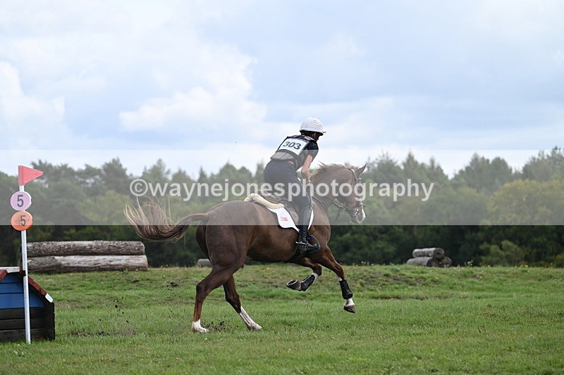 WJ7_1598 - Time 12:34 to 13:16