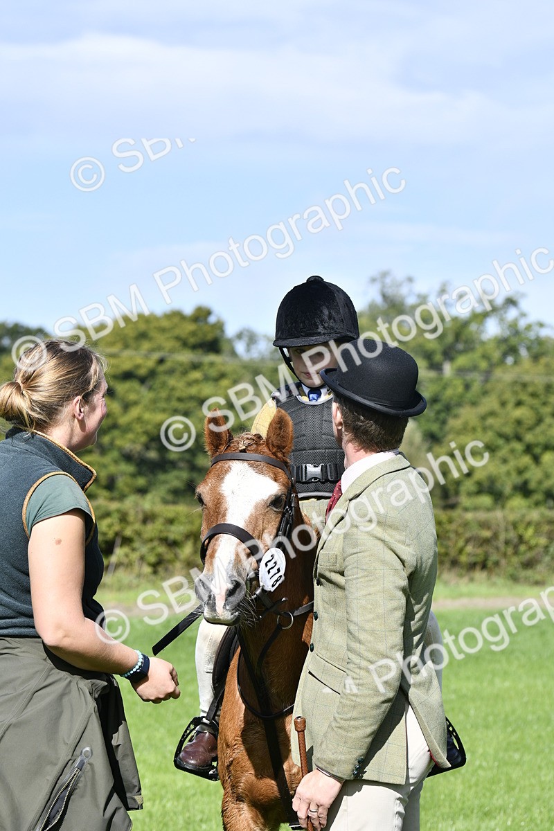 SBM_38237 - S31 - Novice & Newcomer Working Hunter Pony