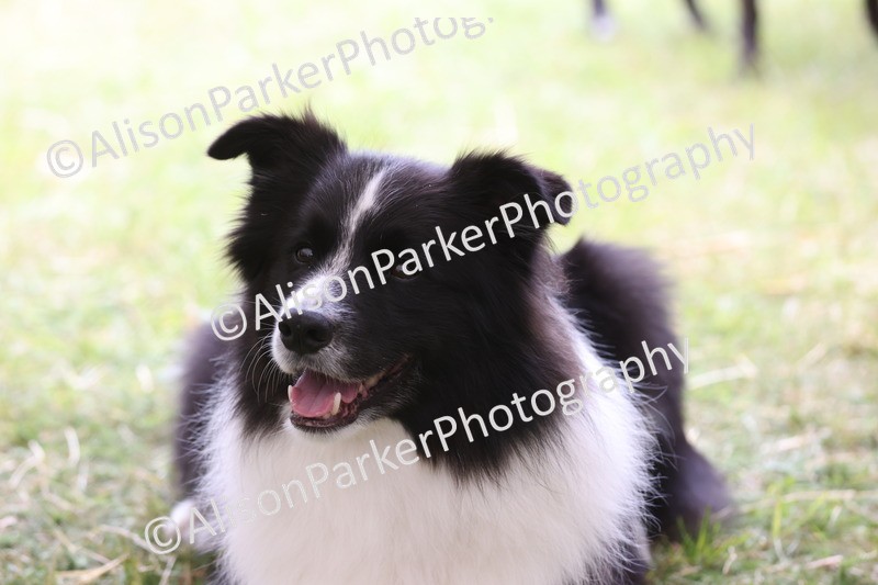 20250607-0249 - Class 5 - Trick and Treat