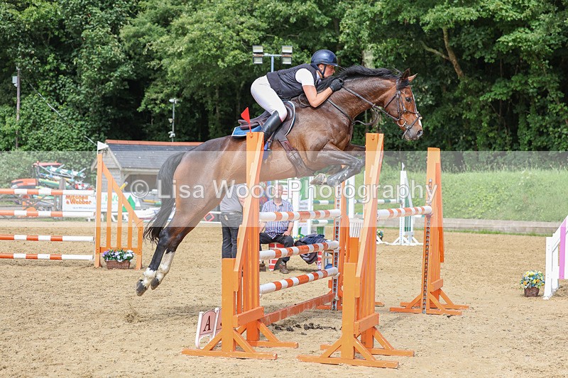 3E7A7618 - Class 9: Senior Foxhunter/1.20 open