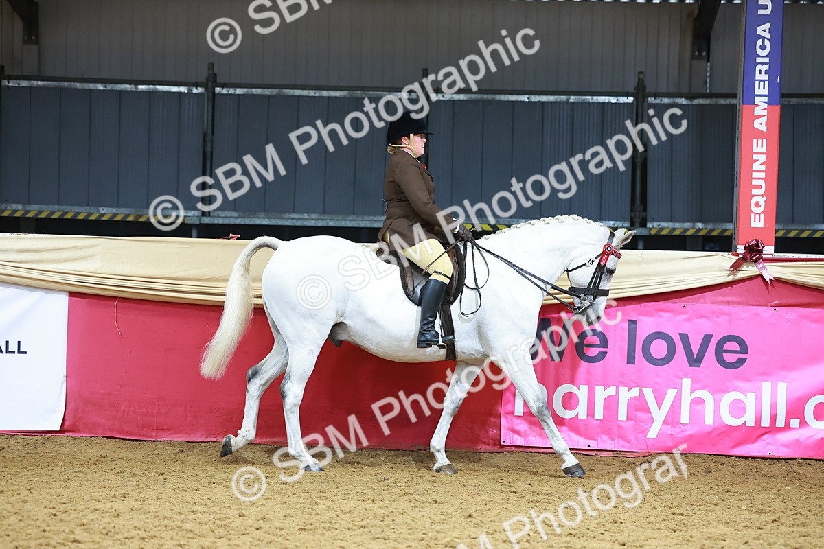 SBM_12386 - Class 103 - HOYS Veteran Qualifier - Ridden Pre Vet