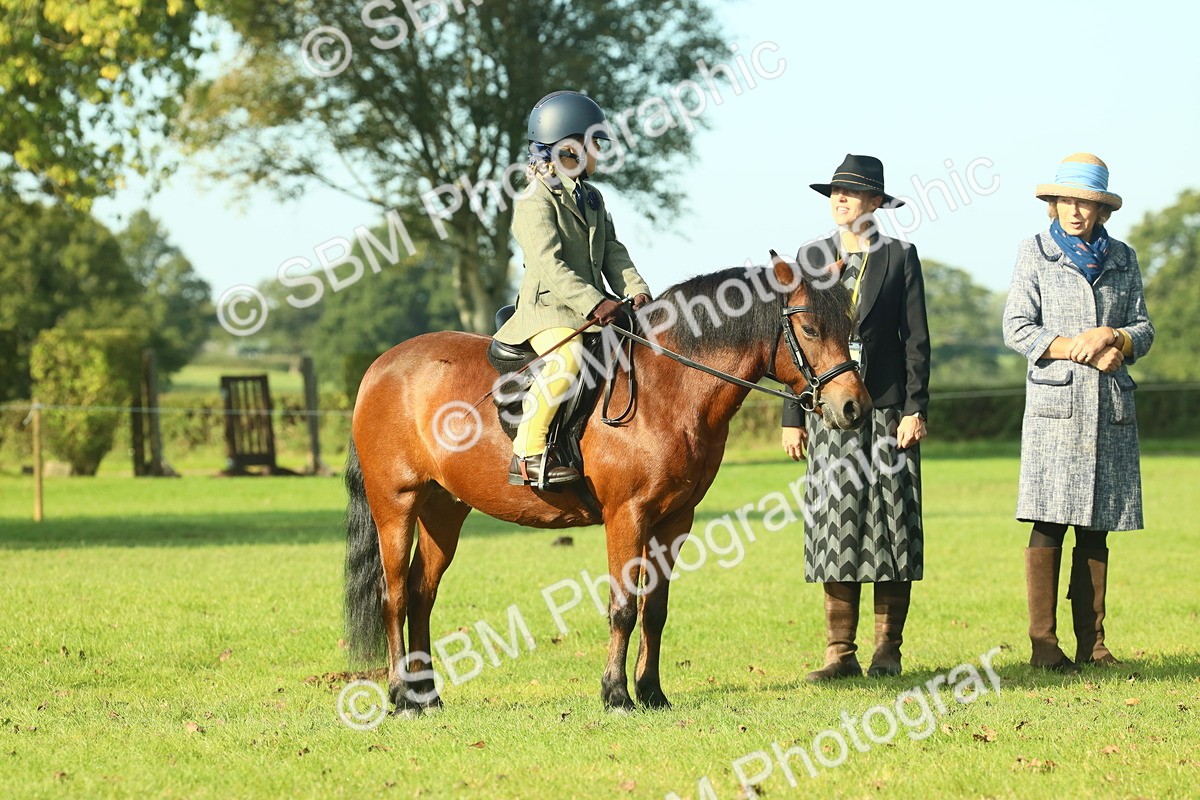 SBM_59159 - S38 - Starters Ridden Showing