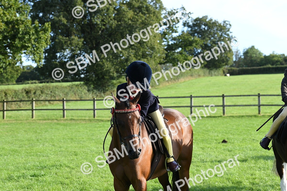 SBM_52425 - S22 - 1st Ridden Show & Show Hunter Pony
