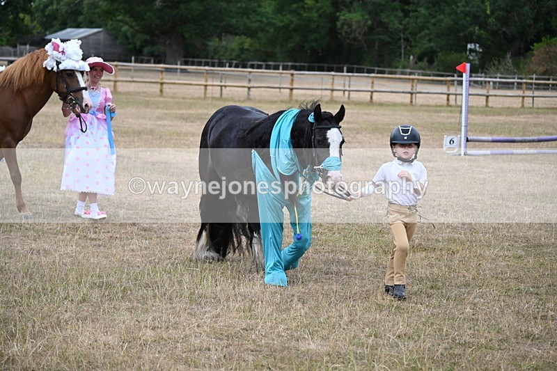 WJ6_8693 - Class 11 Fancy Dress