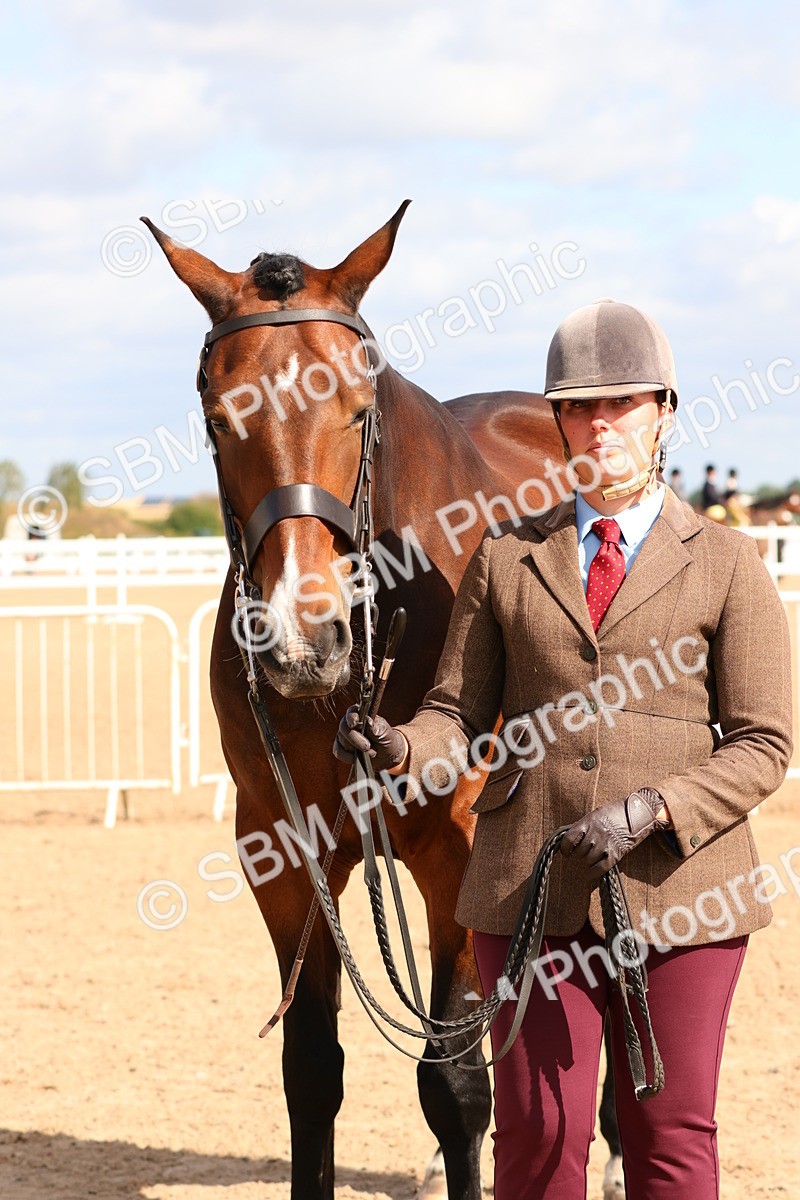 SBM_11741 - Class 208 - IH Veteran Horse