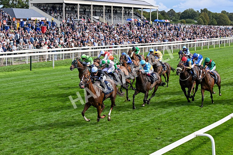 210826-Race 4-Bacio-0247 - Race 4 15.35pm Coolmore City Of Troy Nunthorpe Stakes
