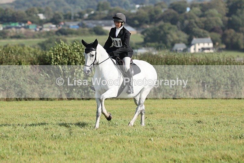 JPP_8084 - Class 2A: Trekenning Open: Dressage