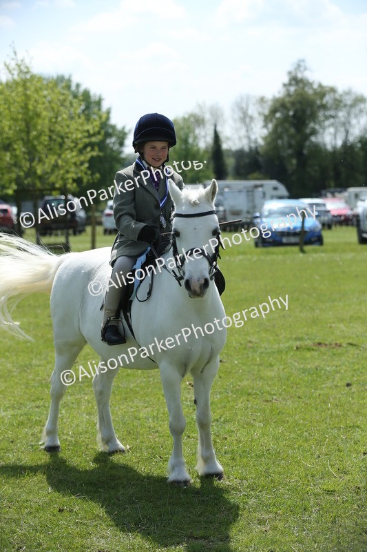 20250427-2838 - Class 7 - Prettiest Mare
