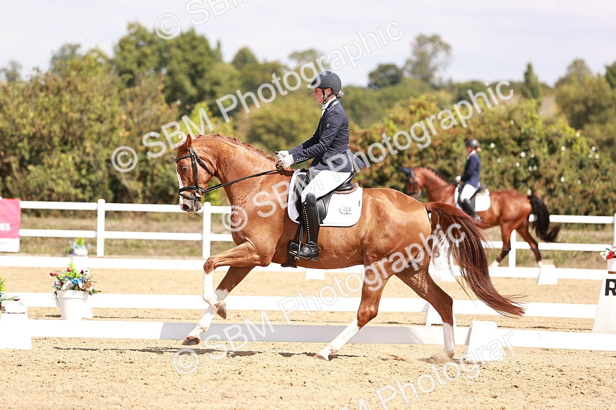 SBM_018451 - Class 17 - Novice 6