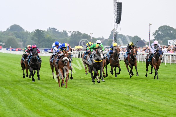 250725-Race 2-Rock N Roll Pinkie-0359 - Race 2 6.03pm Elevator Company Handicap