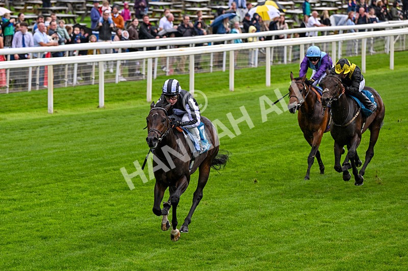 060926-Race 1-Mezzo Forte-0041 - Race 1 1.30pm Irish Thoroughbred Marketing 'Confined' EBF Maiden Stakes