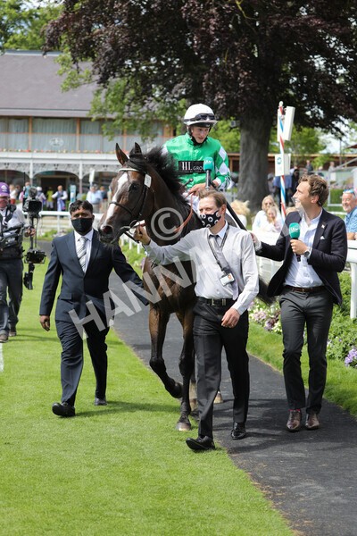 yr12062021r3-19 - Race 3 3.05pm Sky Bet Race to the Ebor Grand Cup