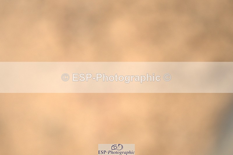 240317A-104327-05068 - Cls 25 Snr 1.20m Open