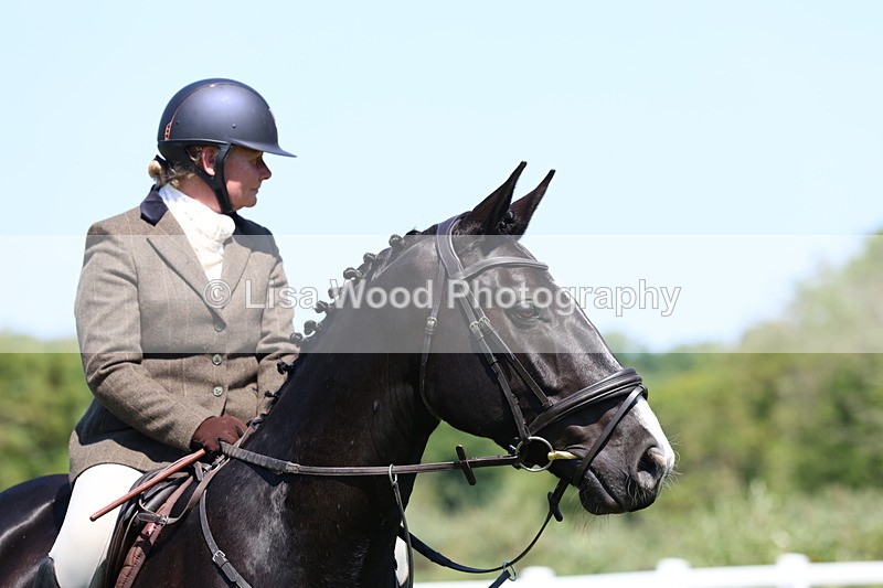 3E7A7351 - Class 30: Novice Working Hunter
