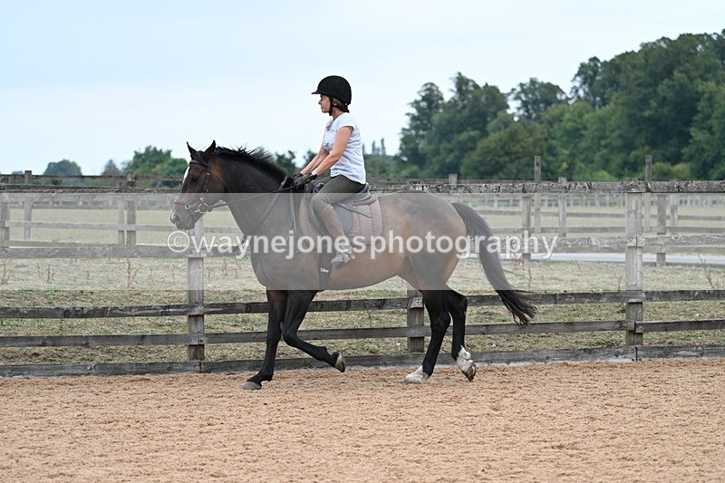 WJ7_9285 - Poles 14:00