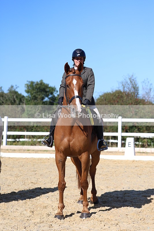 3E7A5633 - Class 9: Open Ridden Hunter
