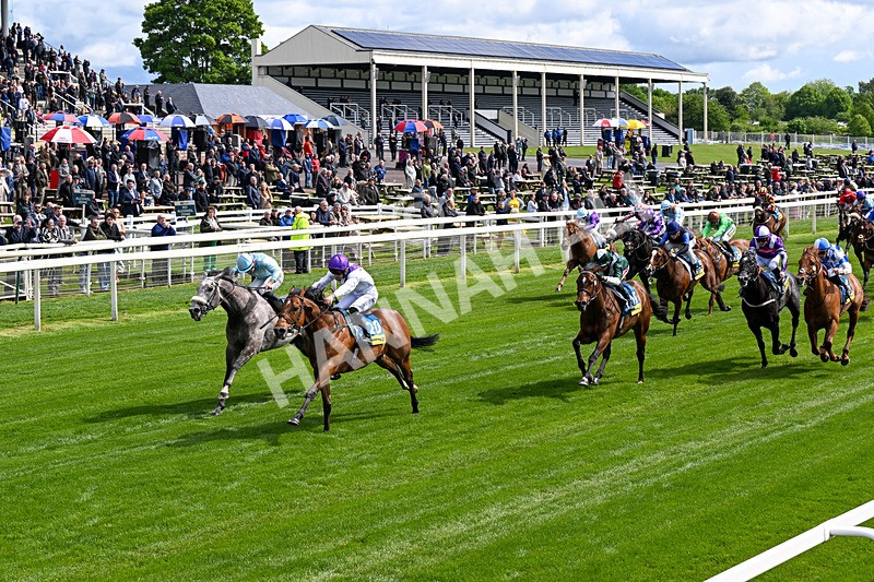 130526-Race 3-Dark Thirty-0171 - Race 3 2.55pm Churchill Tyres Handicap