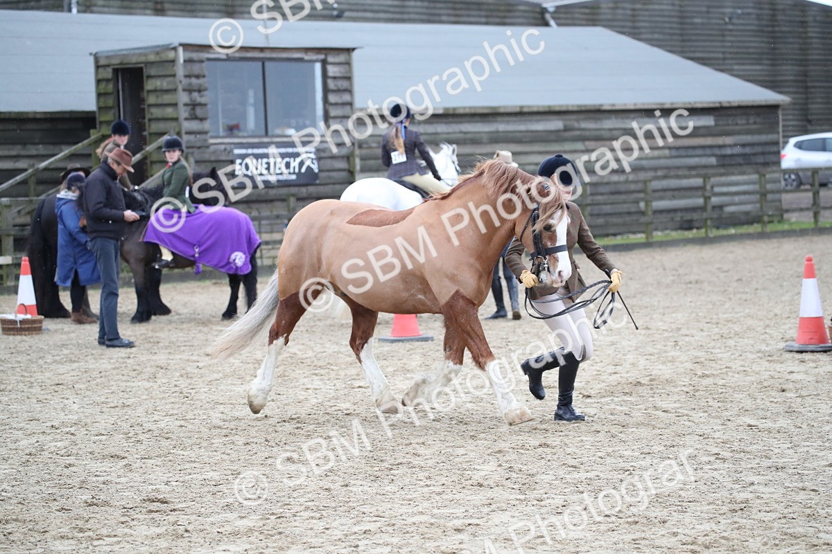 SBM_007273