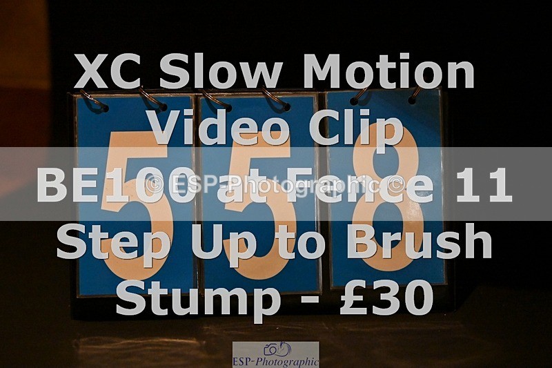 ESP_558 - 558-Grace.Evans-BRYNGWYNDRAETH.PHOEBE