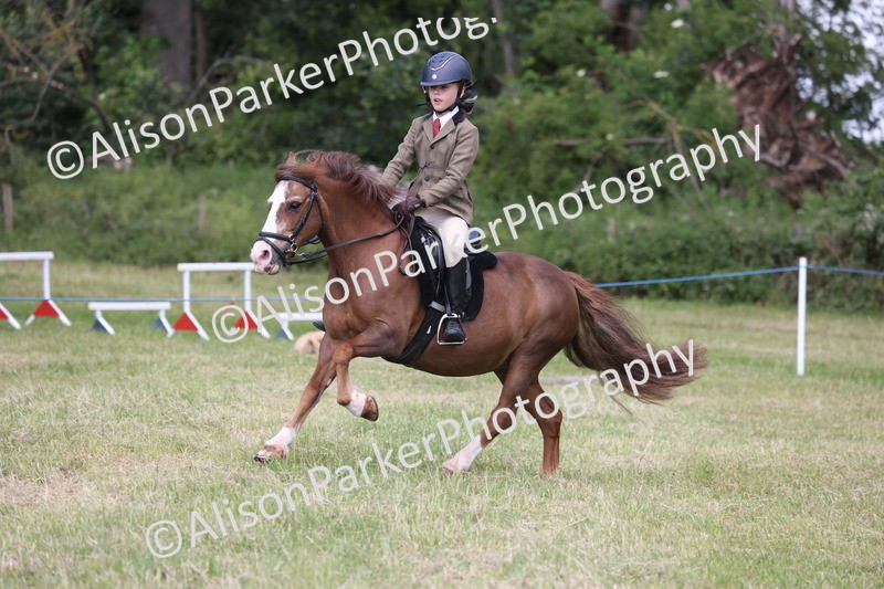 20260614-2081 - Class 21 - Novice Working Hunter Pony
