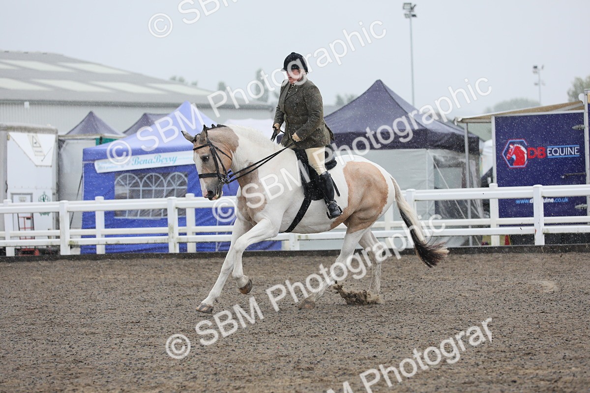 SBM_20356 - Class 803 - Ridden Combination 65+