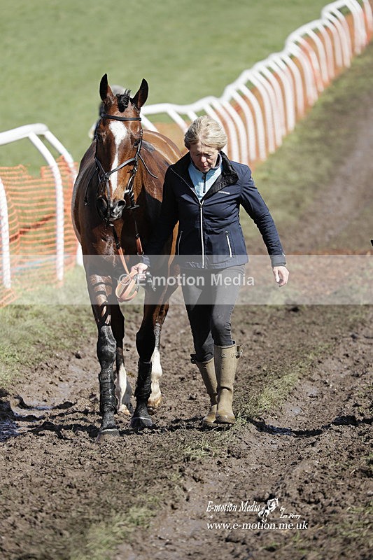 PtP 100423 536 - Old Berkshire Point-to-Point Lockinge 10/04/23