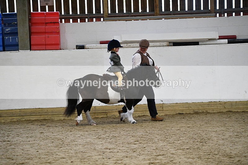 WJ5_6652 - Class 10 Childs Pony