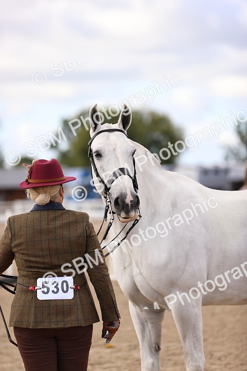 SBM_10379 - Class 405 - IH Show Cob