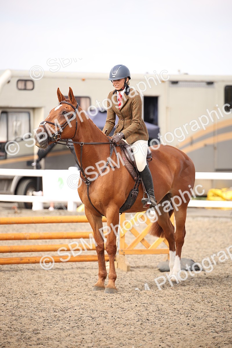 SBM_15068 - Class 408a - Working Veteran 70cm (15-19