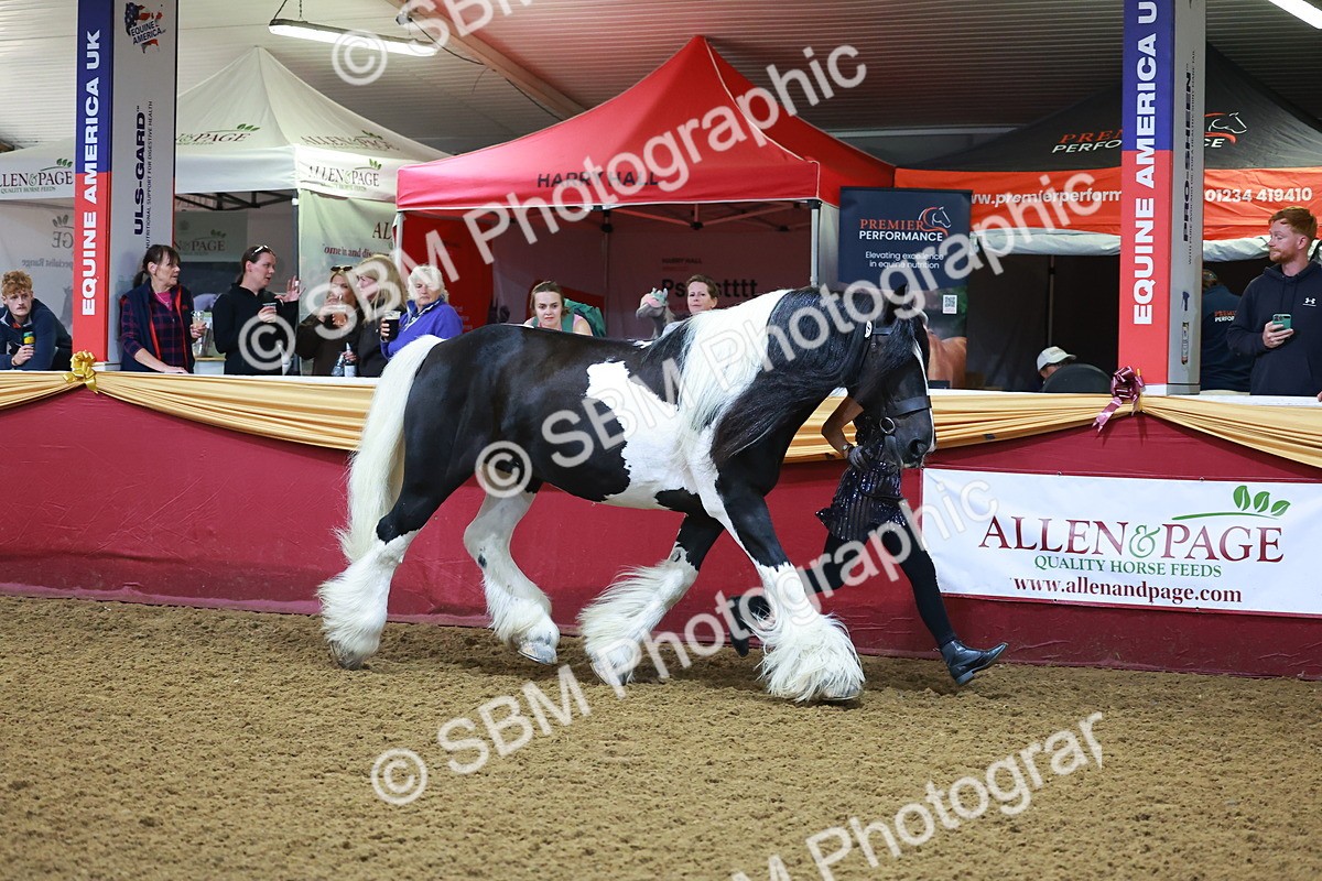 SBM_14716 - Class C - Novelty champ
