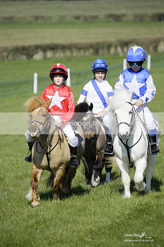 PtP 190322 55 - Wilton Hunt PtP Milborne St Andrew 19/03/22