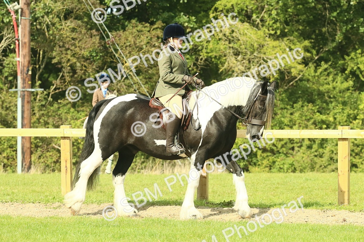 SBM_67390 - S56 - Coloured Pony Ridden