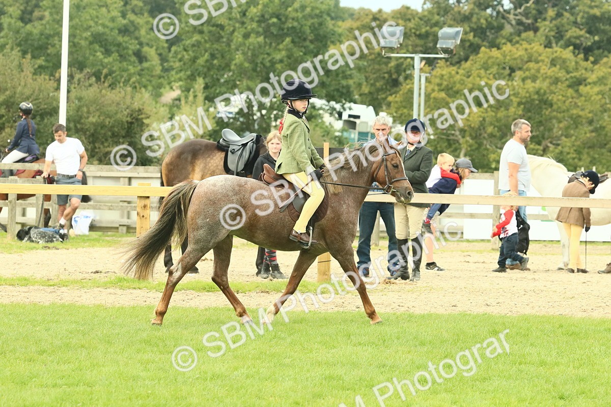 SBM_69953 - S59 - Mountain & Moorland Ridden Small Breeds