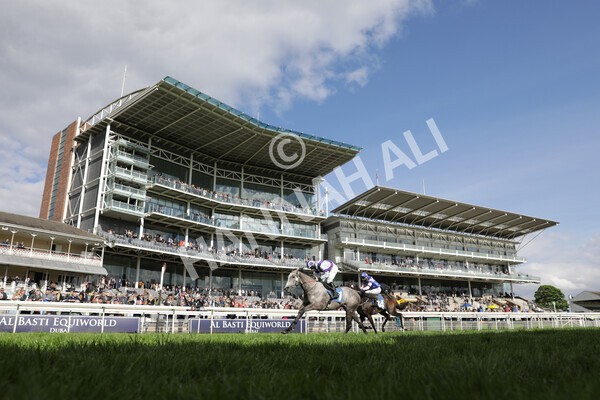 yr22052021r7-39 - Race 7 5.25pm Hudson Quarter York Palace Capital Stakes - Gentleman Amateur Riders Race