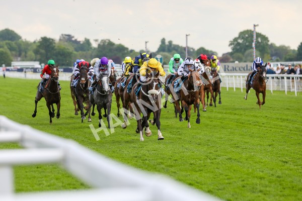 150524-Race 7-Dancing In Paris-1640 - Race 7 5.20pm Stuey Weston & Friends Getting Out Handicap