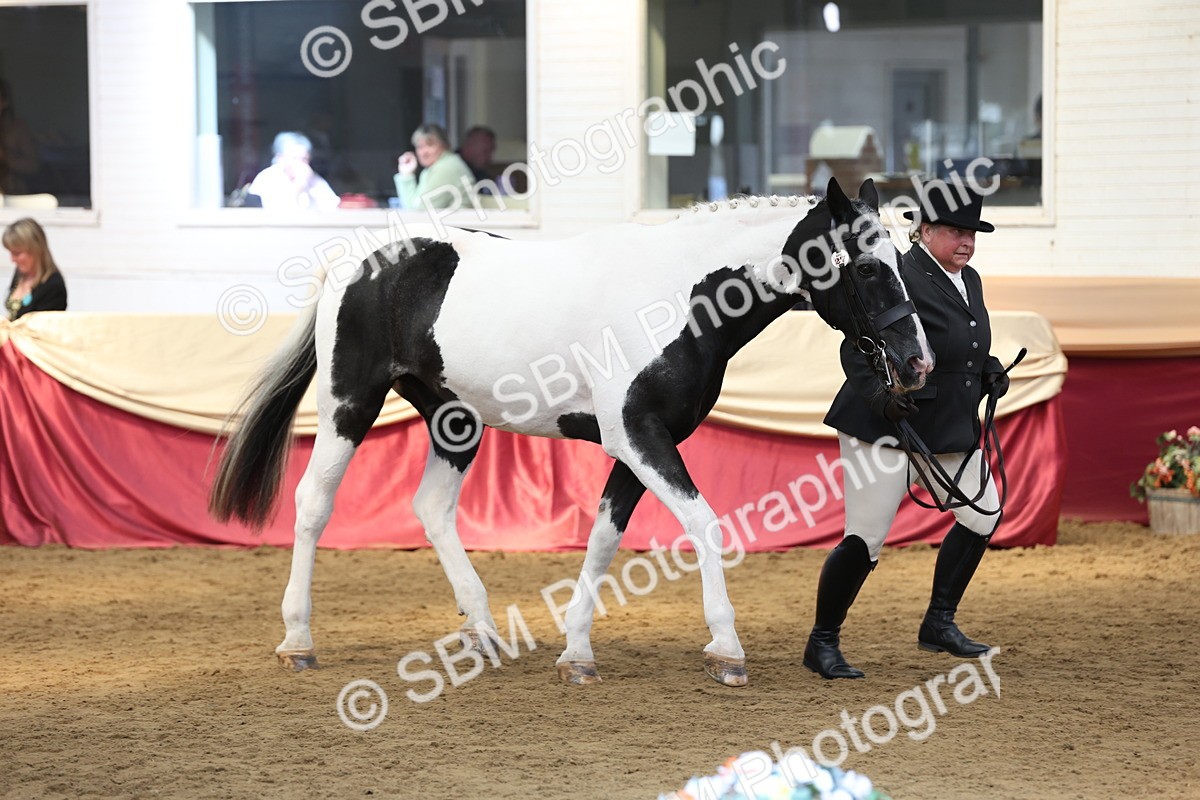 SBM_23580 - Class 904 - Supreme Final - Ridden Diamond