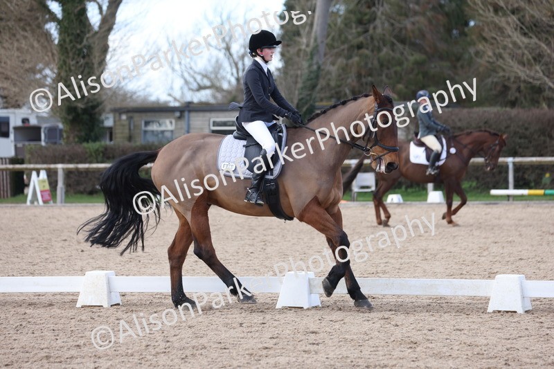 20260228-0806 - Class 6 - Novice 3