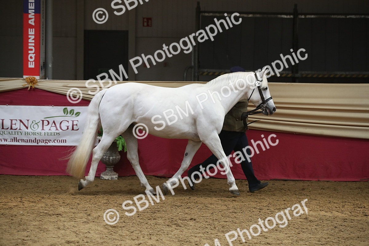 SBM_05585 - Class 9R - Regional IH Pre-Vet