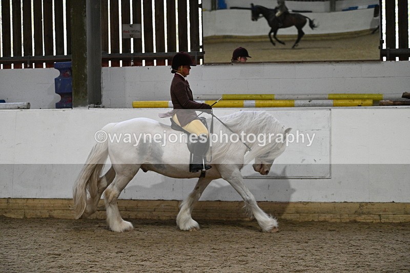 WJ7_3863 - Class 17 Ridden Cob