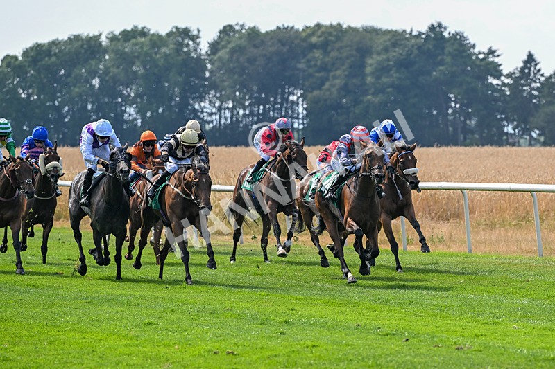 160726-Race 4-Park Lane Penny-4654 - Race 4 15.38pm Don't Miss Summer Family Days @thirskraces Classified Stakes