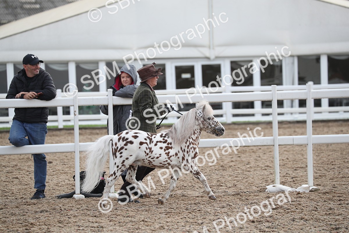 SBM_23075 - Class 605 - 2025 Area - IH Veteran